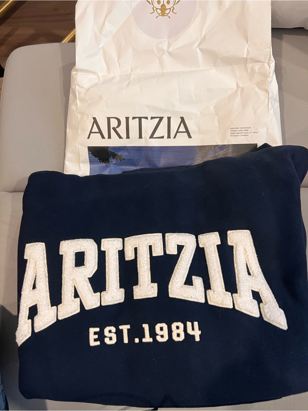Aritzia Navy Hoodie with White Chenille Logo - Picture 2 of 6
